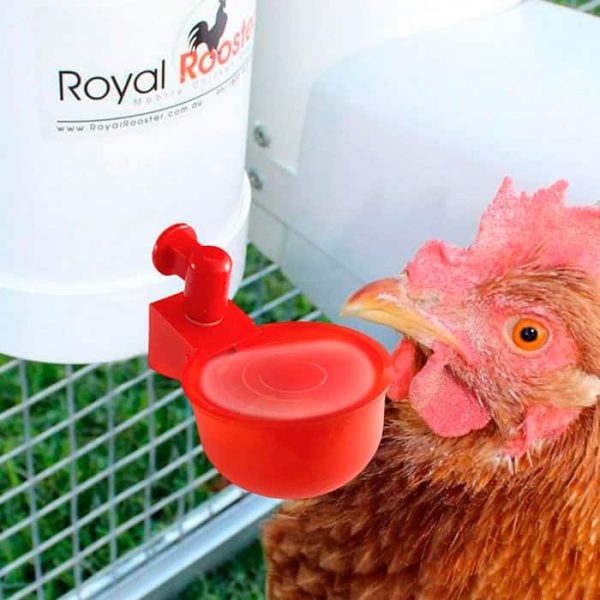 ChickenBowl, abbeveratoio per galline e altro pollame (6 pezzi)